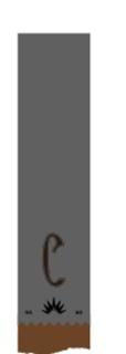 C trademark