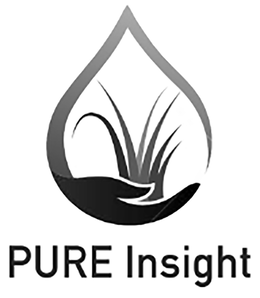 PURE INSIGHT trademark