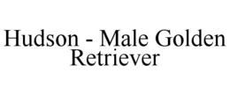 HUDSON - MALE GOLDEN RETRIEVER trademark