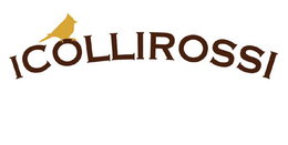 ICOLLIROSSI trademark