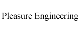 PLEASURE ENGINEERING trademark