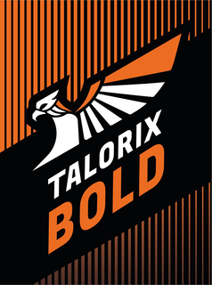 TALORIX BOLD trademark