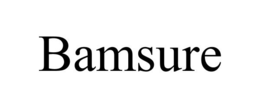 BAMSURE trademark