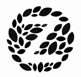Z trademark
