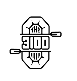 THE 3100 trademark