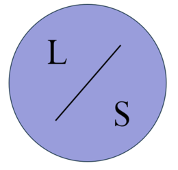 L / S trademark