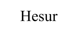 HESUR trademark