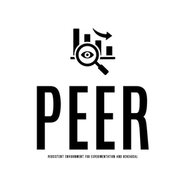 PEER PERSISTENT ENVIRONMENT FOR EXPERIMENTATION AND REHEARSAL trademark