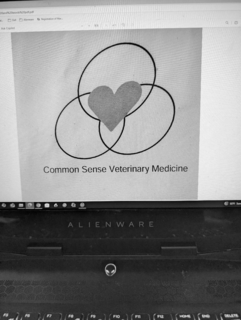 COMMON SENSE VETERINARY MEDICINE trademark