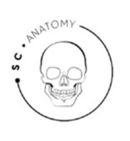SC ANATOMY trademark