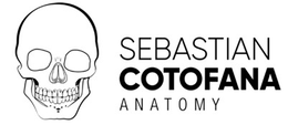 SEBASTIAN COTOFANA ANATOMY trademark