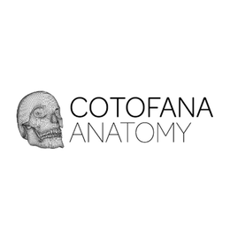 COTOFANA ANATOMY trademark