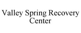 VALLEY SPRING RECOVERY CENTER trademark
