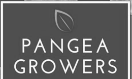 PANGEA GROWERS trademark
