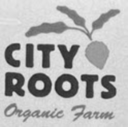 CITY ROOTS ORGANIC FARM trademark