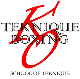 TEKNIQUE BOXING SCHOOL OF TEKNIQUE KO trademark