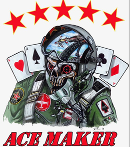 A A A A A A A A ACE MAKER T-33 HEED T-13 TRAINER OF JET ACES BONES A A T-33 D. RICCI 06 ACE MAKER trademark