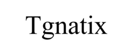 TGNATIX trademark