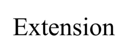 EXTENSION trademark
