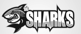 BIG SHARKS trademark