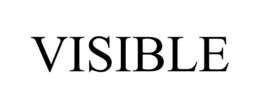 VISIBLE trademark