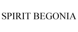SPIRIT BEGONIA trademark