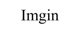 IMGIN trademark