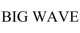 BIG WAVE trademark