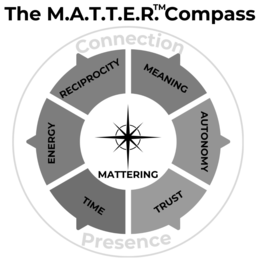 THE M.A.T.T.E.R. COMPASS MATTERING MEANING AUTONOMY TRUST TIME ENERGY RECIPROCITY CONNECTION PRESENCE trademark