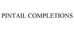 PINTAIL COMPLETIONS trademark