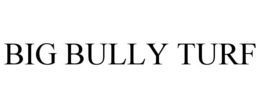 BIG BULLY TURF trademark