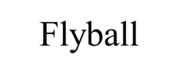 FLYBALL trademark