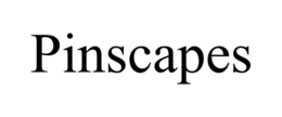 PINSCAPES trademark