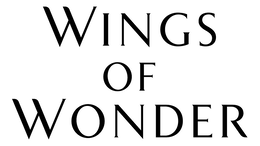 WINGS OF WONDER trademark