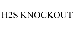 H2S KNOCKOUT trademark