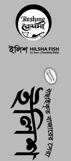 RESHME HILSHA FISH SCI. NAME: (TENUALOSA ILISHA) PREMIUM QUALITY trademark