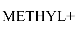 METHYL+ trademark