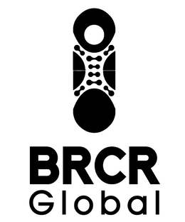 BRCR GLOBAL trademark