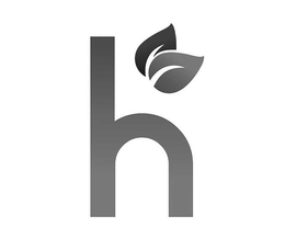 H trademark