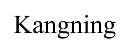 KANGNING trademark