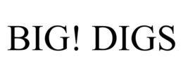 BIG! DIGS trademark