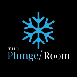 THE PLUNGE/ROOM trademark