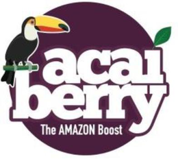 ACAI BERRY THE AMAZON BOOST trademark