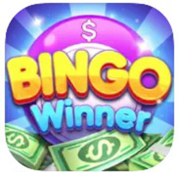 $ BINGO WINNER $ $ trademark