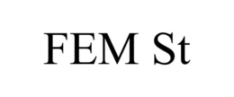 FEM ST trademark