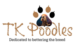 TK POODLES DEDICATED TO BETTERING THE BREED trademark