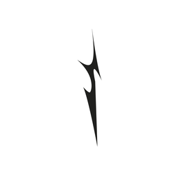 S trademark