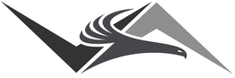 VA trademark