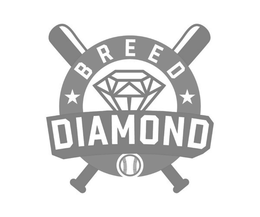BREED DIAMOND X trademark