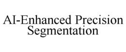 AI-ENHANCED PRECISION SEGMENTATION trademark